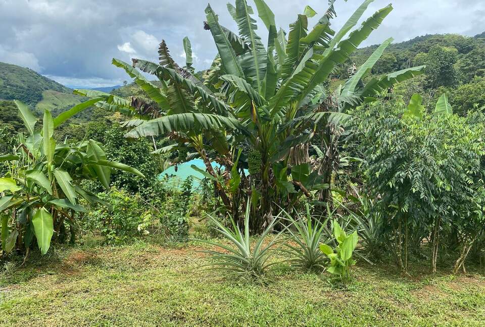 Pura Vida Hideaway - Punta Mala Arriba, Costa Rica