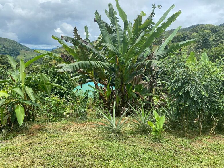 Pura Vida Hideaway - Punta Mala Arriba, Costa Rica