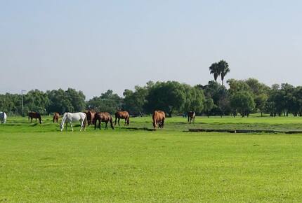 Tranquil Golfside Villa in Balvanera Polo Country Club Country Club - Corregidora, Mexico