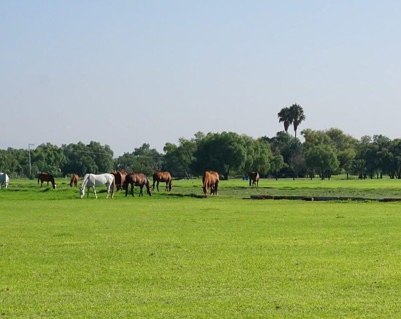 Tranquil Golfside Villa in Balvanera Polo Country Club Country Club - Corregidora, Mexico