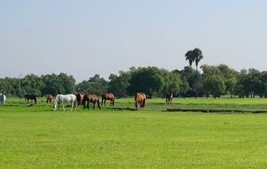 Tranquil Golfside Villa in Balvanera Polo Country Club Country Club - Corregidora, Mexico
