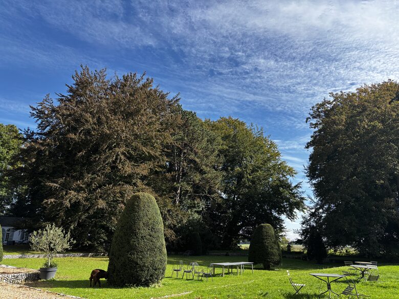 Château Blanc | Elegant 19th-Century Château with Grand Grounds - Grainville-Ymauville, France