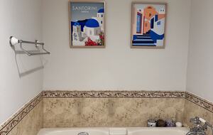 Master bathroom jet hot tub