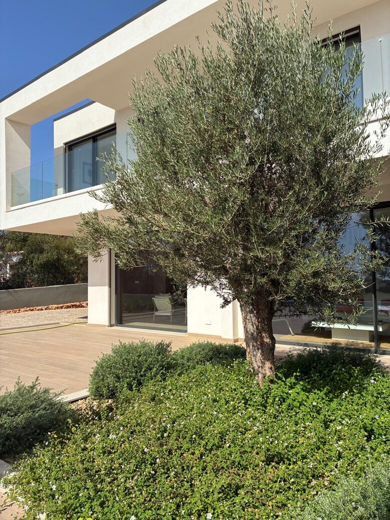 Countryside Elegance in Vale Formoso - Loulé, Portugal