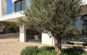 Countryside Elegance in Vale Formoso - Loulé, Portugal