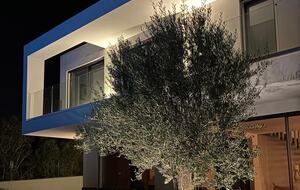 Countryside Elegance in Vale Formoso - Loulé, Portugal