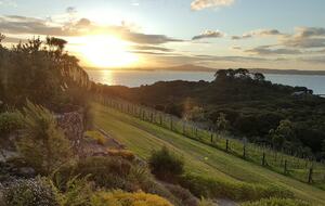Spectacular Waiheke Estate With Gulf Views - Waiheke Island, New Zealand