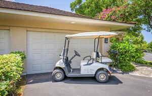 Elegant Hawaiian Retreat with Fairway Views - Kailua Kona, Hawaii