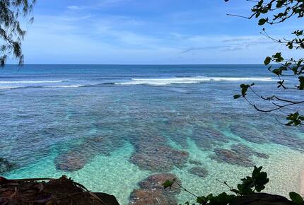 Jungle-View Princeville Retreat Near Hideaways Beach - Princeville, Hawaii