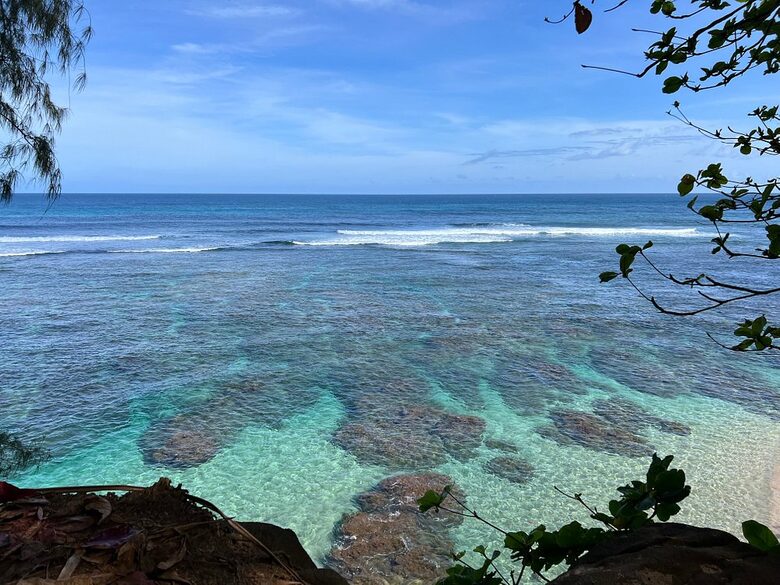 Jungle-View Princeville Retreat Near Hideaways Beach - Princeville, Hawaii