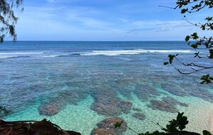 Jungle-View Princeville Retreat Near Hideaways Beach - Princeville, Hawaii
