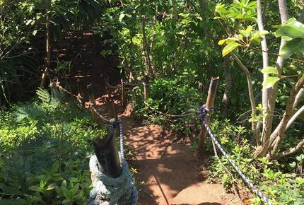 Jungle-View Princeville Retreat Near Hideaways Beach - Princeville, Hawaii
