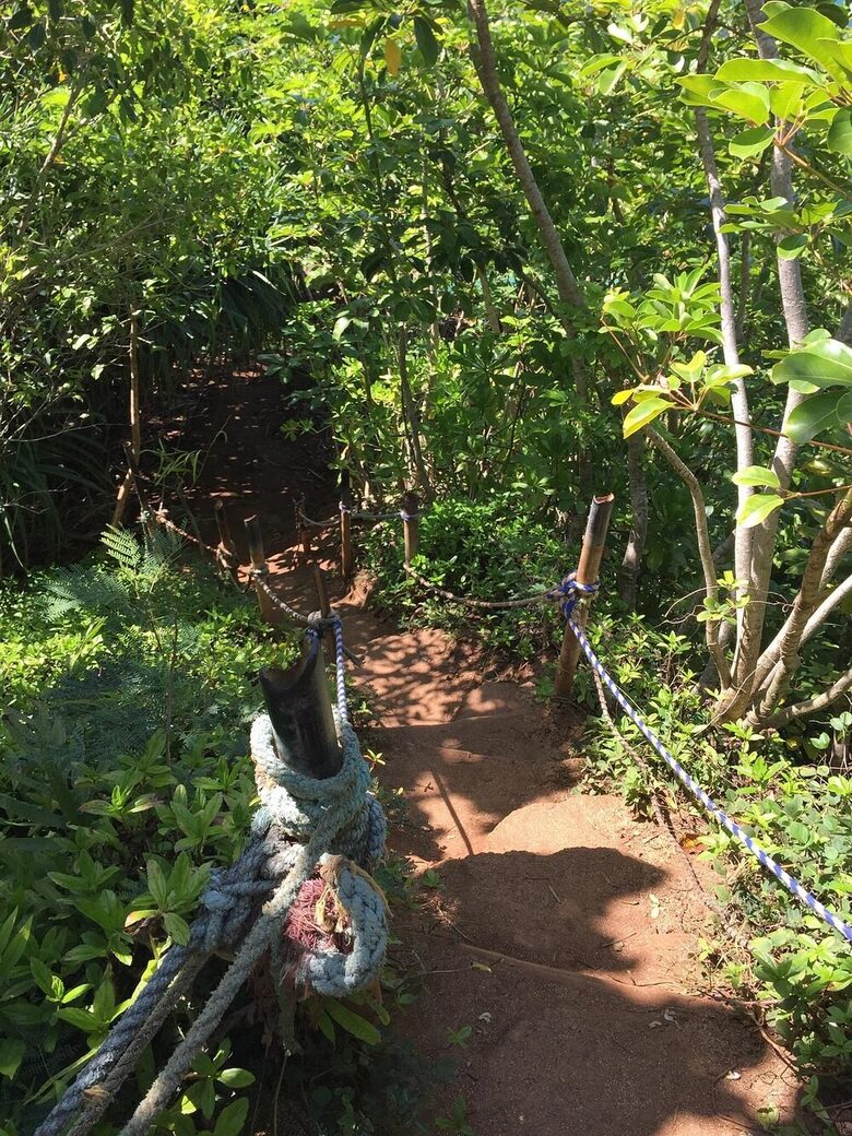 Jungle-View Princeville Retreat Near Hideaways Beach - Princeville, Hawaii