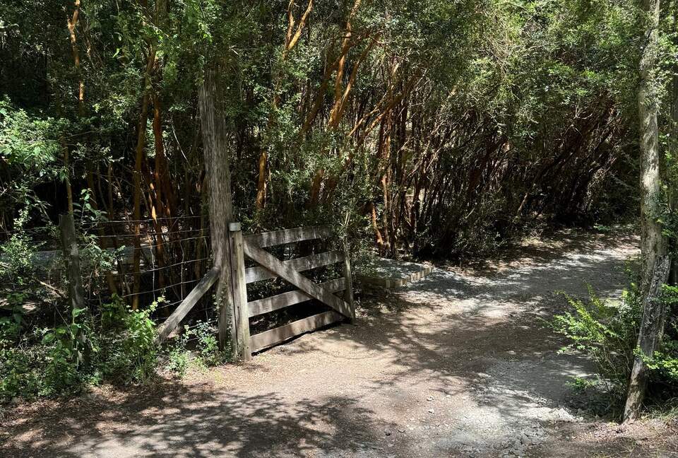 Cozy Forest Cabin Steps from Epulafquen Beach - El Ranco Province, Chile
