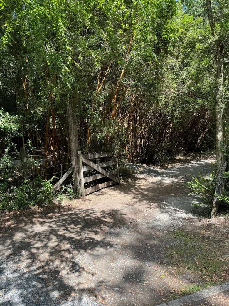 Cozy Forest Cabin Steps from Epulafquen Beach - El Ranco Province, Chile