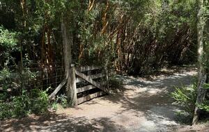 Cozy Forest Cabin Steps from Epulafquen Beach - El Ranco Province, Chile