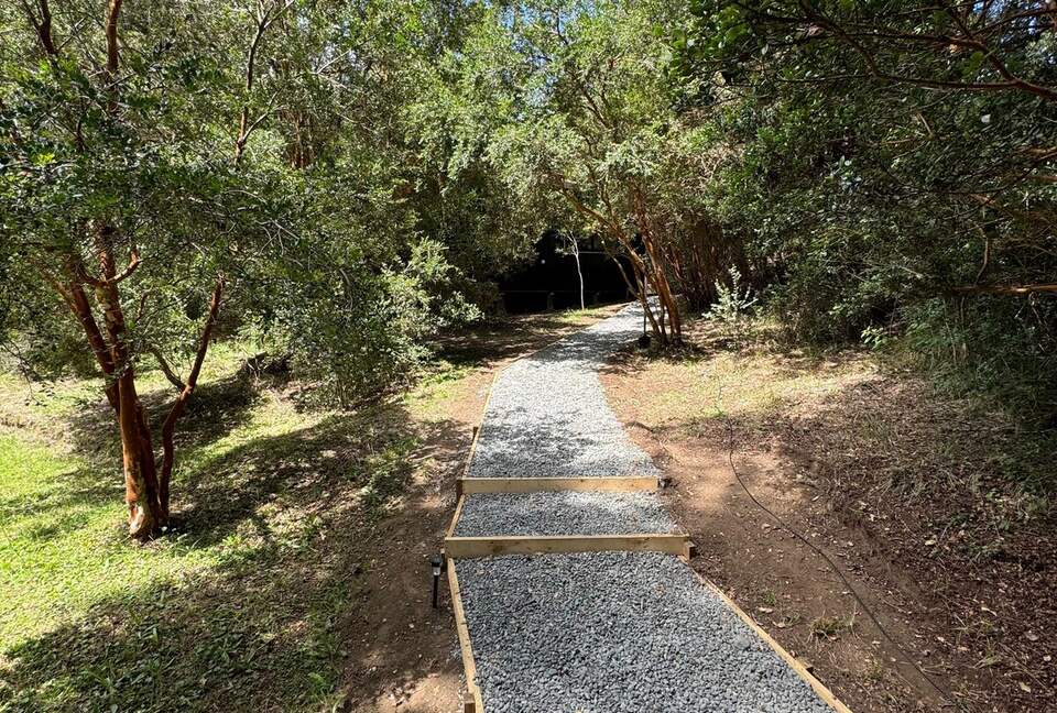 Cozy Forest Cabin Steps from Epulafquen Beach - El Ranco Province, Chile