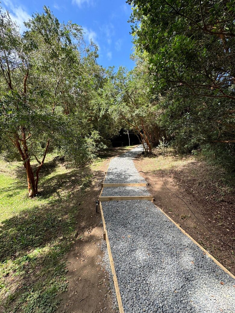 Cozy Forest Cabin Steps from Epulafquen Beach - El Ranco Province, Chile