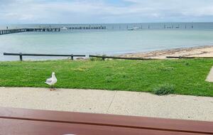 Captain’s Cottage | Charming Coastal Escape in St Leonards - St Leonards, Australia