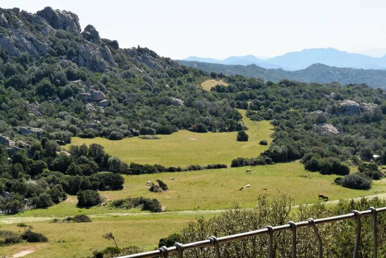 Serene Mountain-View Villa in Northern Sardinia - Arzachena, Italy