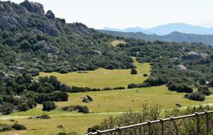 Serene Mountain-View Villa in Northern Sardinia - Arzachena, Italy
