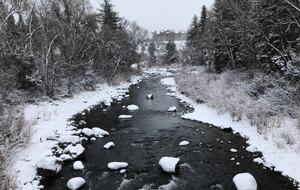 Cozy Avon Getaway with Mountain Views - Avon, Colorado