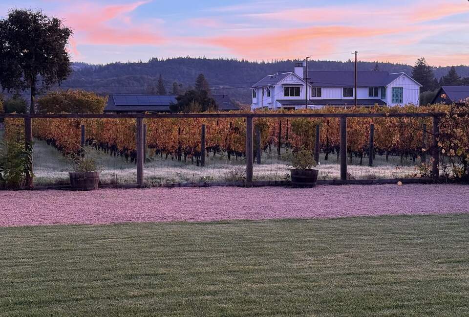 Vineyard Serenity in the Heart of St. Helena, Napa County - St. Helena, California