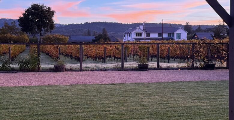 Vineyard Serenity in the Heart of St. Helena, Napa County - St. Helena, California