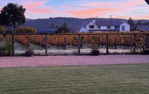 Vineyard Serenity in the Heart of St. Helena, Napa County - St. Helena, California