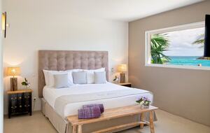 Amethyst - Terres Basses, Saint Martin (French part)