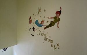 Neverland! A Fairy Home where Dreams come true! - Kodak, Tennessee