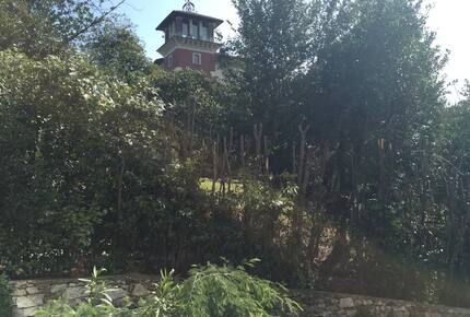 Tranquil Apartment Overlooking Lake Maggiore - Stresa, Italy