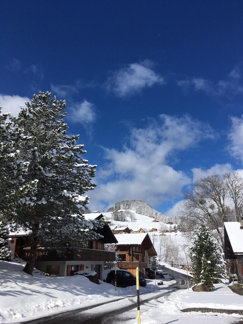 Elegant Alpine Chalet With Panoramic Mountain Views - Flumserberg, Switzerland