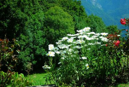 Elegant Alpine Chalet With Panoramic Mountain Views - Flumserberg, Switzerland