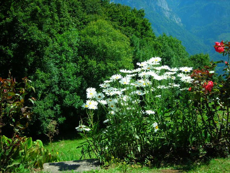 Elegant Alpine Chalet With Panoramic Mountain Views - Flumserberg, Switzerland