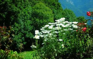 Elegant Alpine Chalet With Panoramic Mountain Views - Flumserberg, Switzerland