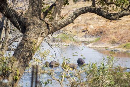 Elegant Eco-Luxury Overlooking the Kruger Wilderness - Hectorspruit, South Africa
