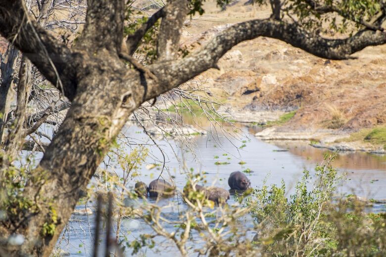Elegant Eco-Luxury Overlooking the Kruger Wilderness - Hectorspruit, South Africa