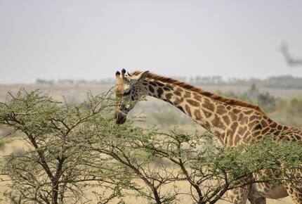 Elegant Eco-Luxury Overlooking the Kruger Wilderness - Hectorspruit, South Africa