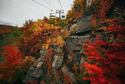 Elegant Mountainside Escape with Direct Hunter Mountain Access - Lanesville, New York