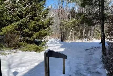 Elegant Mountainside Escape with Direct Hunter Mountain Access - Lanesville, New York