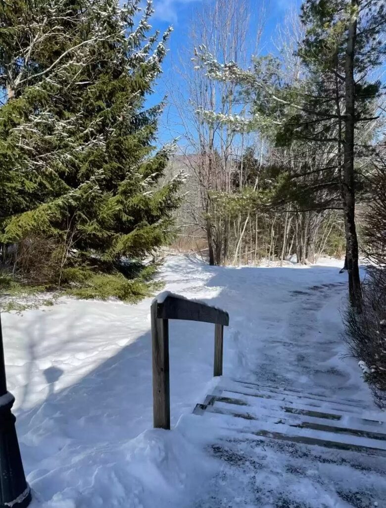 Elegant Mountainside Escape with Direct Hunter Mountain Access - Lanesville, New York