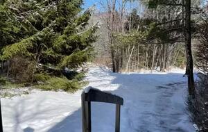 Elegant Mountainside Escape with Direct Hunter Mountain Access - Lanesville, New York