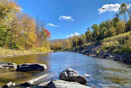 Highlands Drive Mountain Retreat - Lanesville, New York