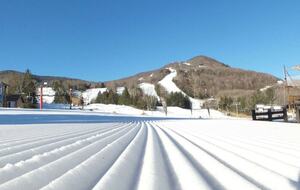 Highlands Drive Mountain Retreat - Lanesville, New York
