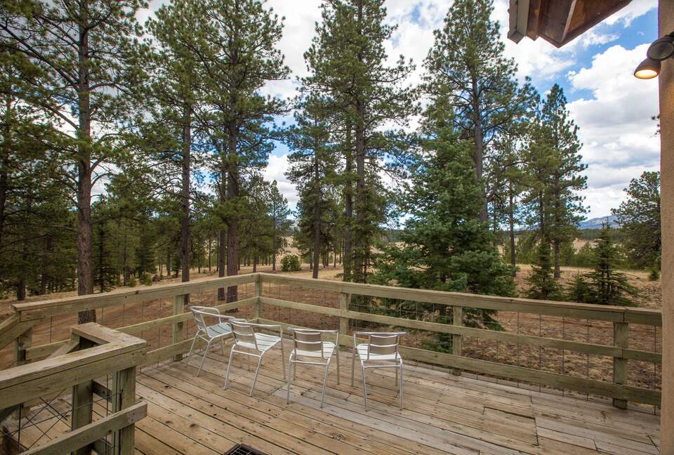 Alpine Escape on 80 Acres! - Angel Fire, New Mexico