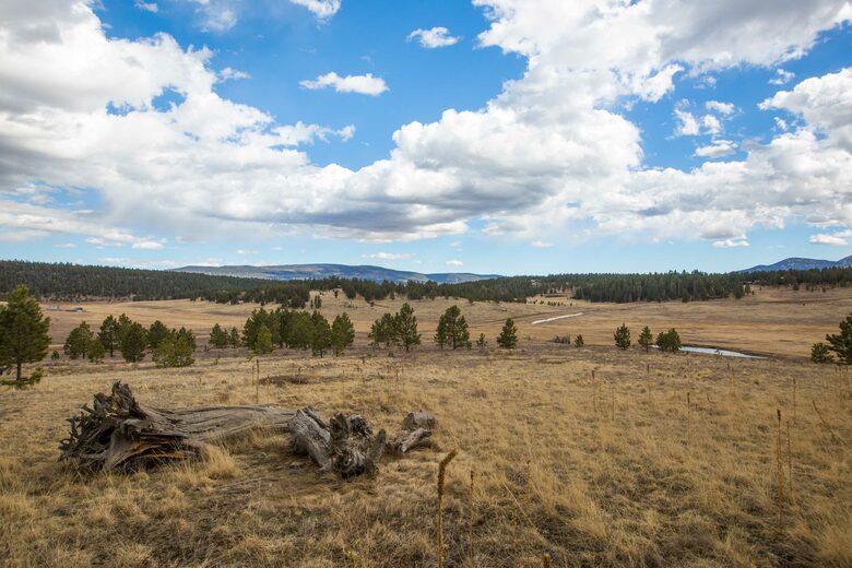 Alpine Escape on 80 Acres! - Angel Fire, New Mexico