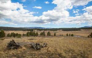 Alpine Escape on 80 Acres! - Angel Fire, New Mexico
