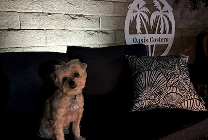 Indian Wells Desert Oasis - Indian Wells, California