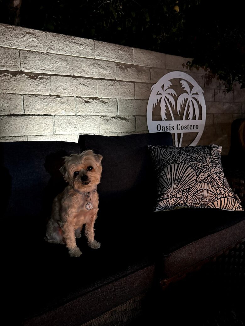 Indian Wells Desert Oasis - Indian Wells, California